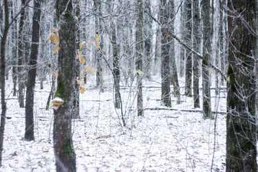 Similar image 12038314