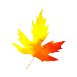 Similar image 11966034