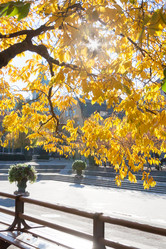 Similar image 12038545