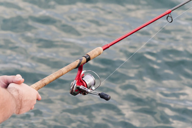 Similar image 12038555