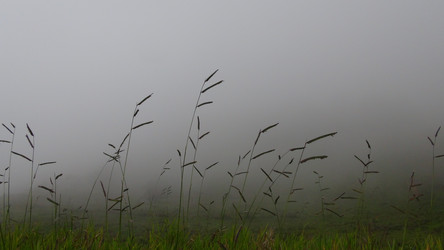 Similar image 12036276