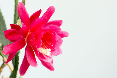 Similar image 11969478