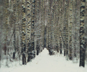 Similar image 12037224