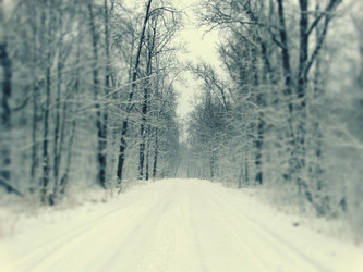 Similar image 12037225