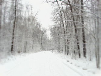 Similar image 12037240