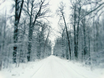 Similar image 12037190