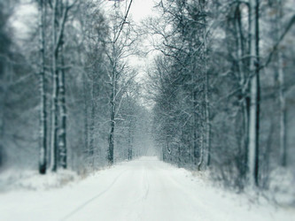 Similar image 12037191