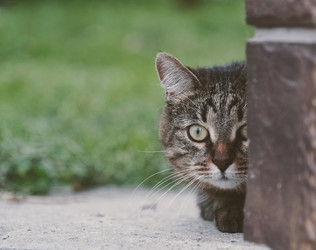 Similar image 11959371