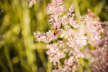 Similar image 11959372