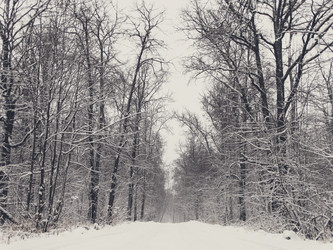 Similar image 12037192