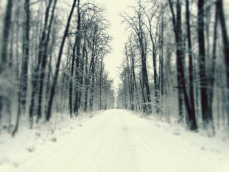 Similar image 12037194