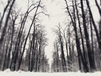 Similar image 12037195