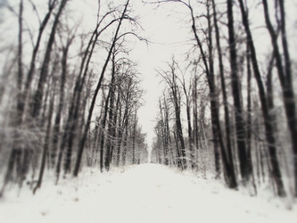 Similar image 12037196