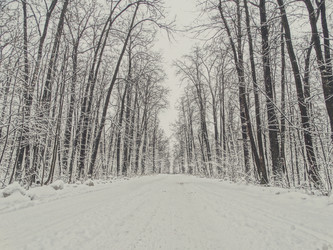 Similar image 12037197