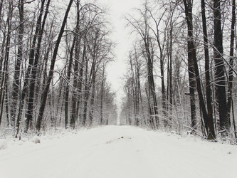 Similar image 12037204