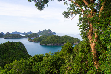 Similar image 11958784