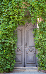 Similar image 11959724