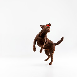 Similar image 11961599