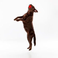 Similar image 11961600