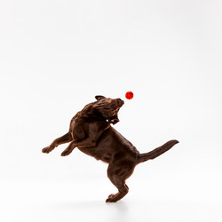 Similar image 11961601