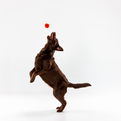 Similar image 11961832