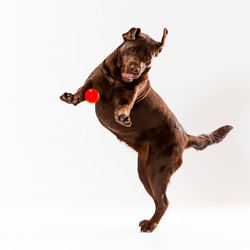 Similar image 11961835