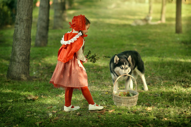 Similar image 11960011