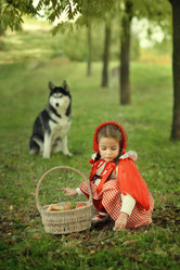 Similar image 11960012