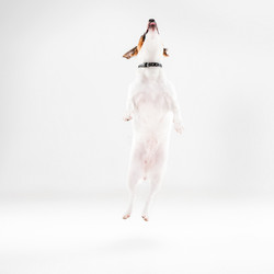 Similar image 11961609