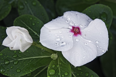 Similar image 12037092