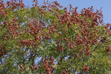 Similar image 12037106