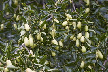 Similar image 12037108