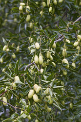 Similar image 12037109