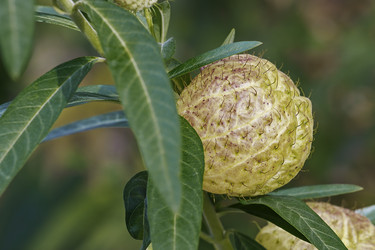 Similar image 12037111