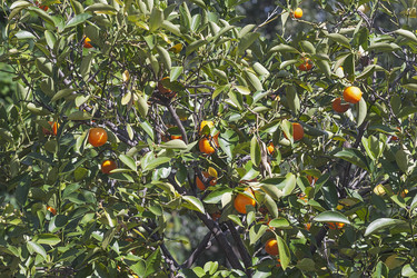 Similar image 12037123