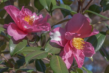 Similar image 12037130