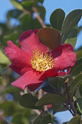 Similar image 12037131