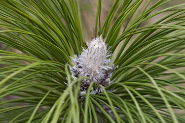 Similar image 12037132