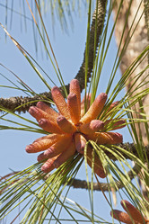 Similar image 12037133