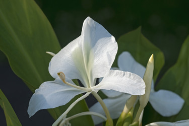 Similar image 12036879