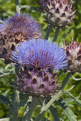 Similar image 12037007