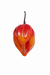 Similar image 12037018