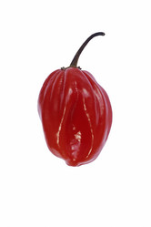 Similar image 12037019