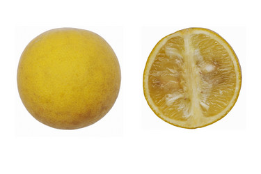 Similar image 12037023