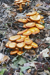 Similar image 12037029