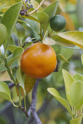 Similar image 12037032