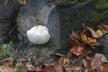 Similar image 12037034