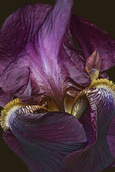 Similar image 12037035