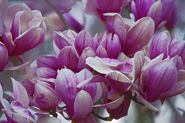 Similar image 12037082