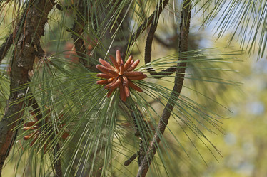 Similar image 12037085